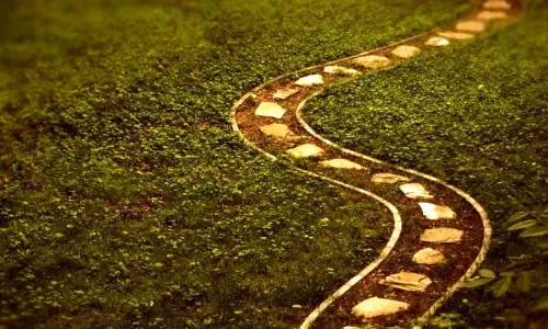 Imatge d'un camí, al·legòrica del creixement personal
