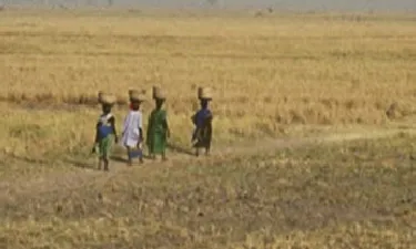 Dona, Àfrica rural i aigua