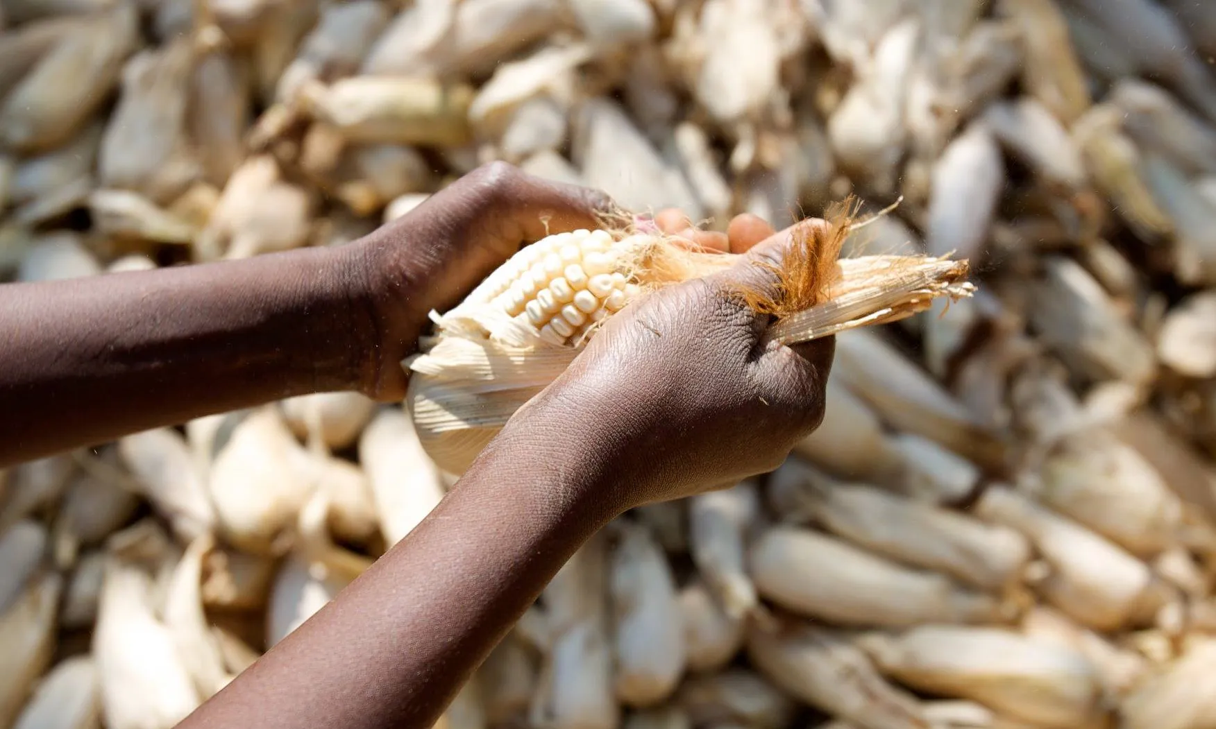 Emergència Alimentària Àfrica i Iemen