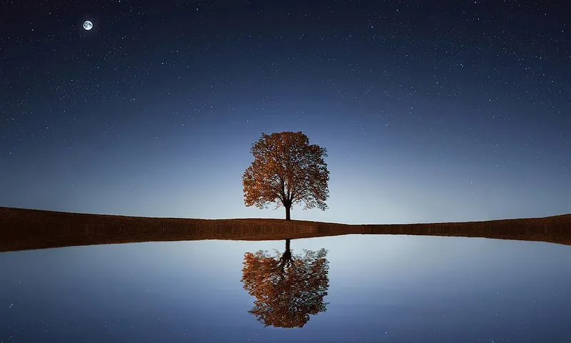 Fotografia d'un arbre al mig d'un llac. Imatge de GPA Photo Archive. Llicència d'ús de domini públic. 